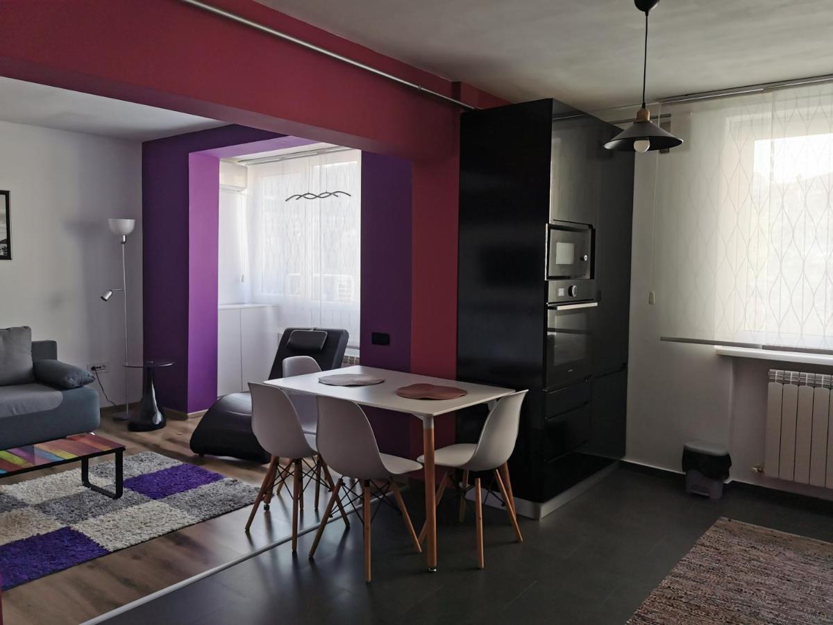 Apartament Asr Piatra Neamţ エクステリア 写真