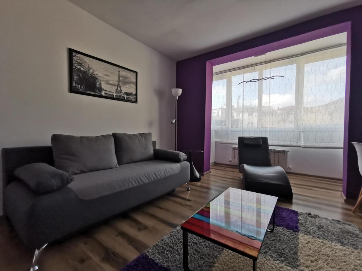 Apartament Asr Piatra Neamţ エクステリア 写真