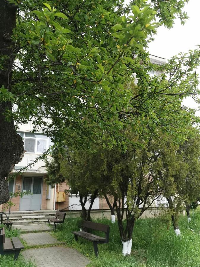 Apartament Asr Piatra Neamţ エクステリア 写真