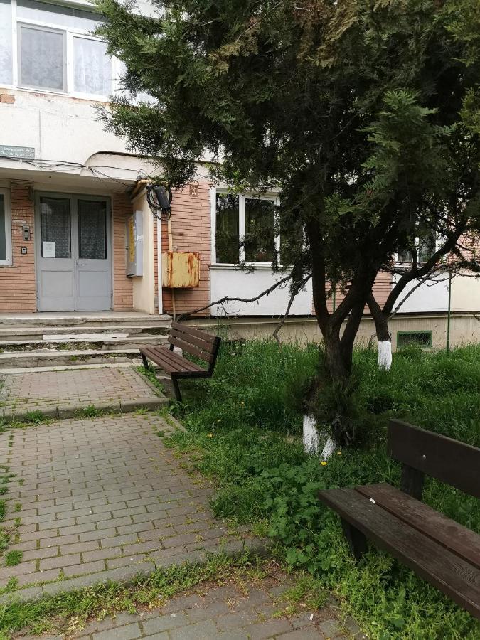 Apartament Asr Piatra Neamţ エクステリア 写真
