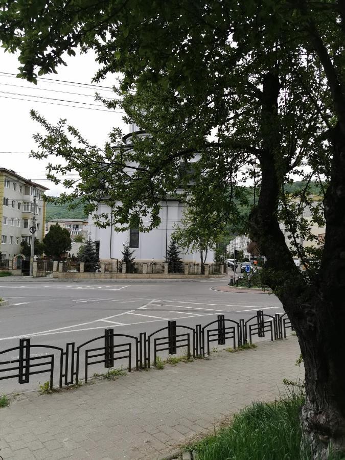Apartament Asr Piatra Neamţ エクステリア 写真