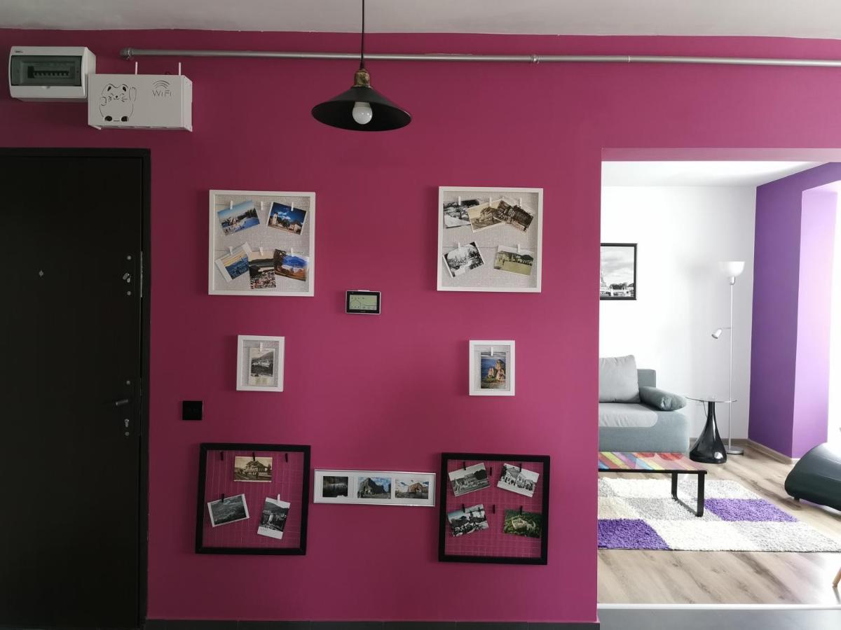 Apartament Asr Piatra Neamţ エクステリア 写真