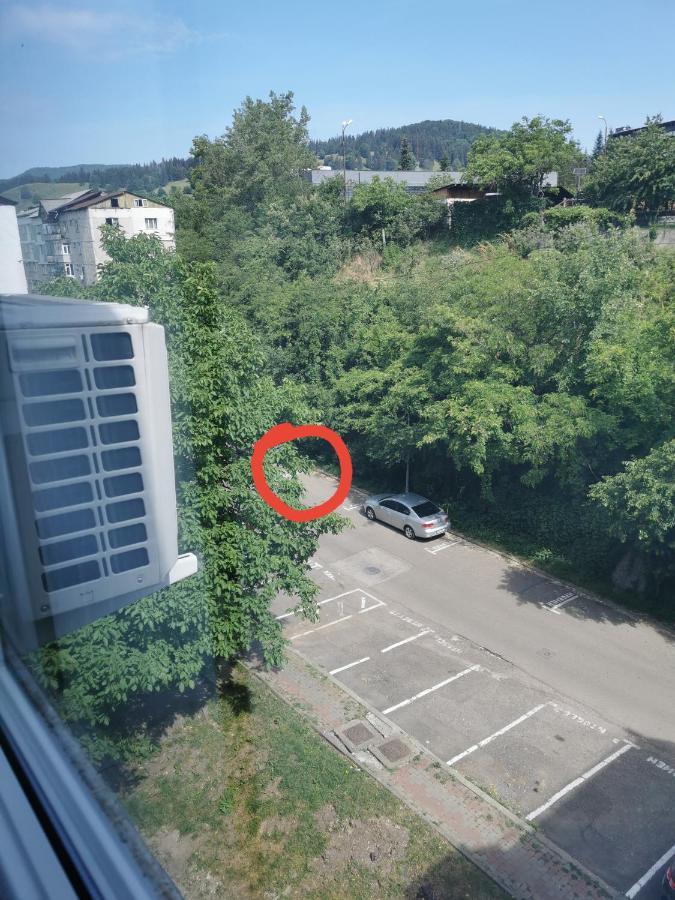 Apartament Asr Piatra Neamţ エクステリア 写真